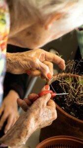 EPHAD Figeac - 10-2021 -150_