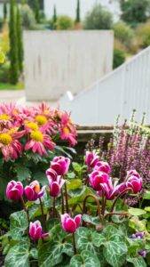 EPHAD Figeac - 10-2021 -96_